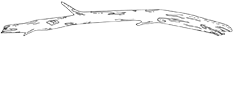 Driftwood Kava & Coffee Roastery Logo